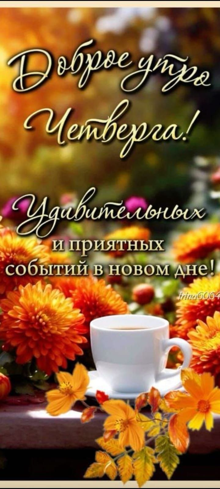 Доброе утро Четверга! Удивительных и приятных событий в новом дне!