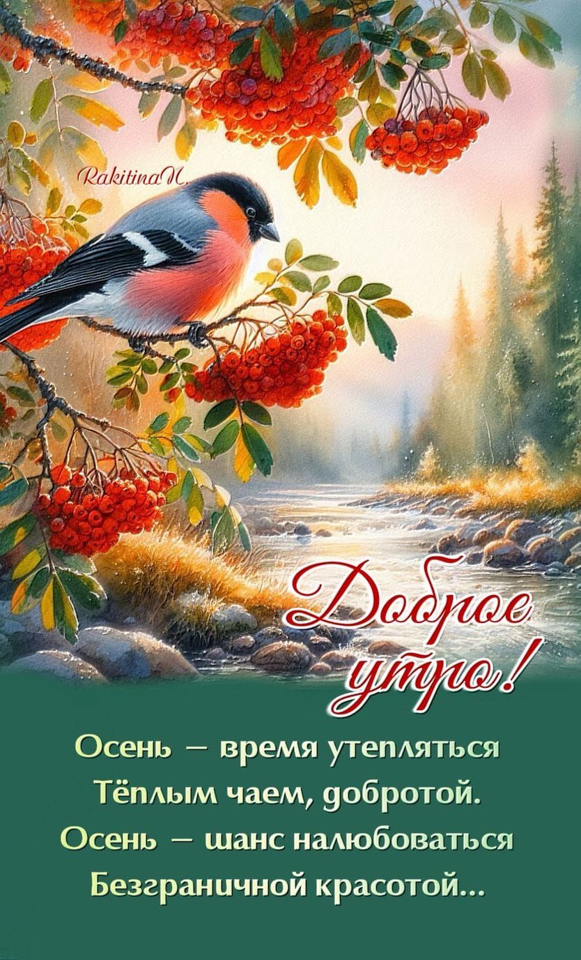 Доброе утро! Осень — время утепляться Тёплым чаем, добротой. Осень — шанс налюбоваться Безграничной красотой...
