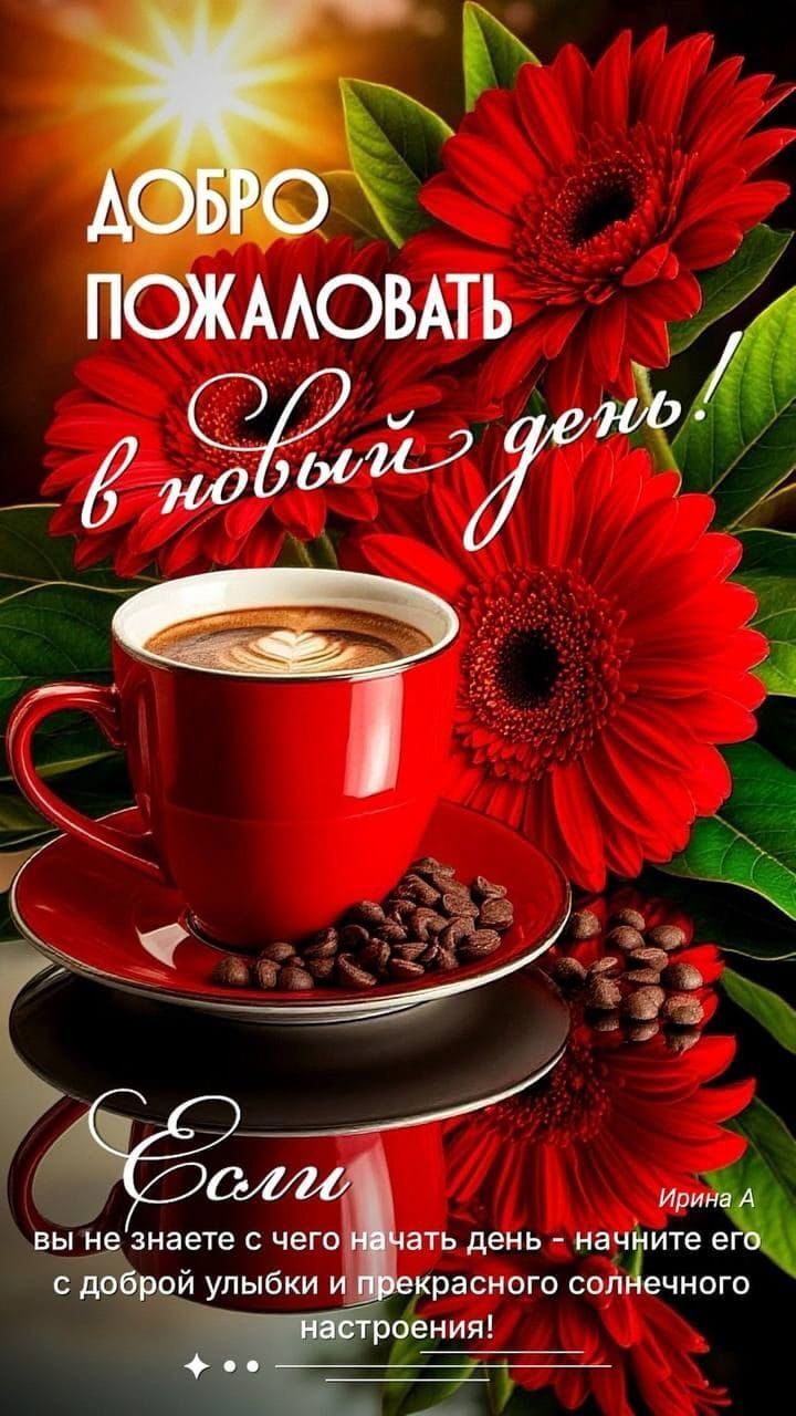 ДОБРО ПРИЖАЛОВАТЬ в новый день! Если вы не знаете с чего начать день - начните его с доброй улыбки и прекрасного солнечного настроения! Ирина А