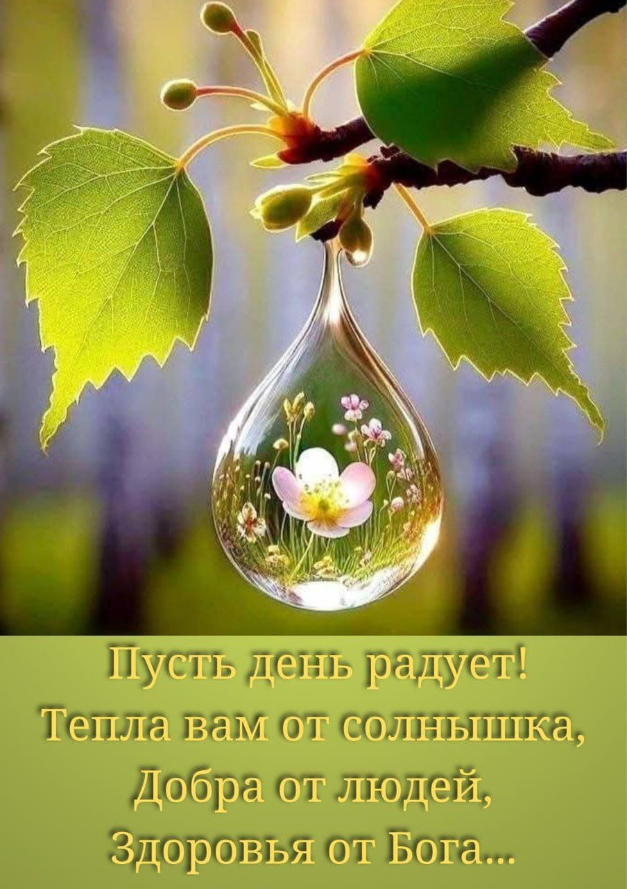 Пусть день радует! Тепла вам от солнышка, Добра от людей, Здоровья от Бога...