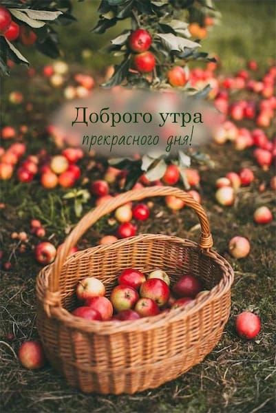 Доброе утро! прекрасного дня!