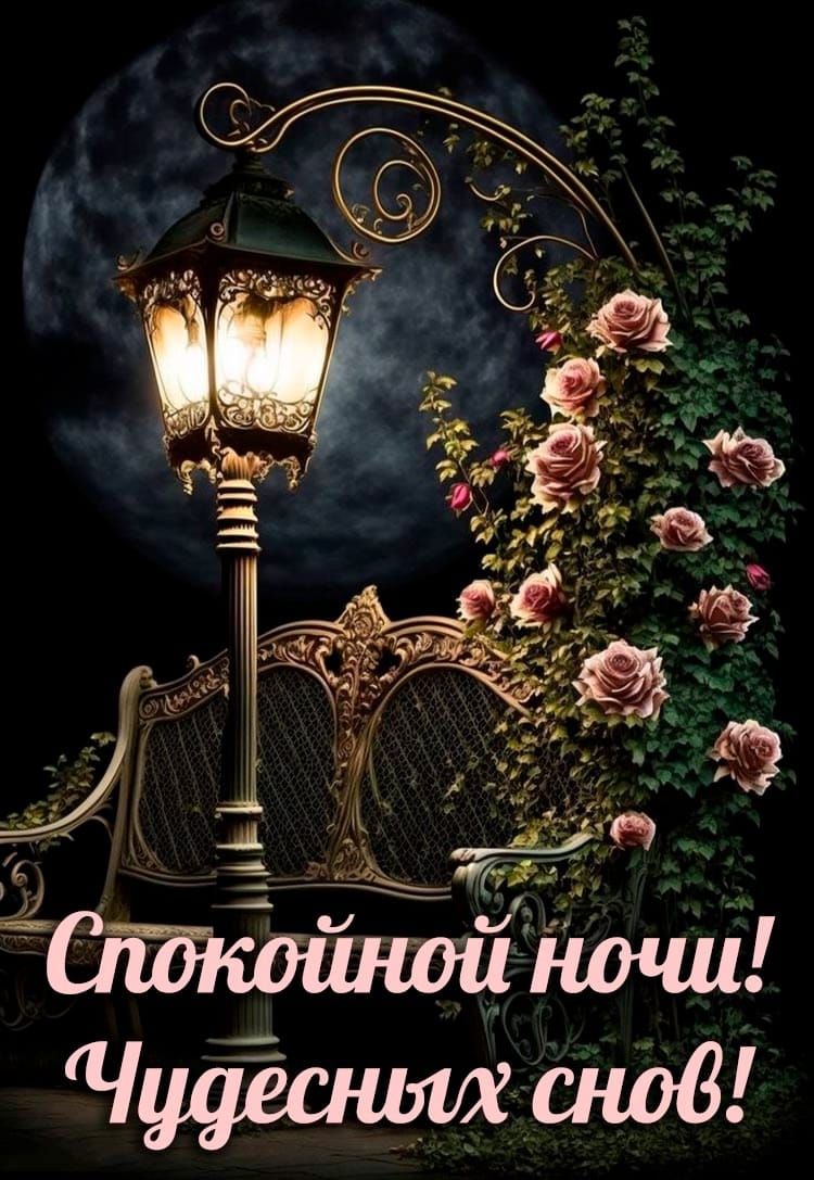 Спокойной ночи! Чудесных снов!