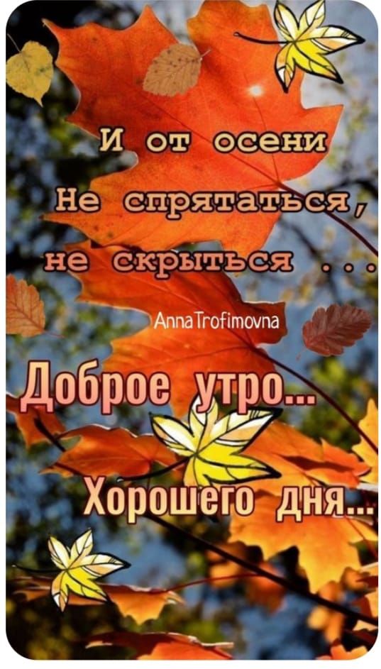 И от осени Не спрятаться, не скрыться ... Доброе утро... Хорошего дня...