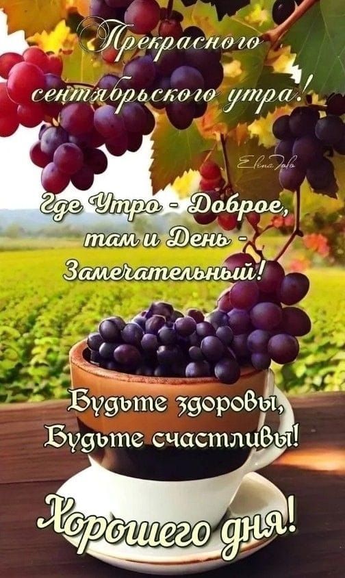 Прекрасного сентябрьского утра!
Где Утро - Доброе, там и День - Замечательный!
Будьте здоровы, Будьте счастливы!
Хорошего дня!