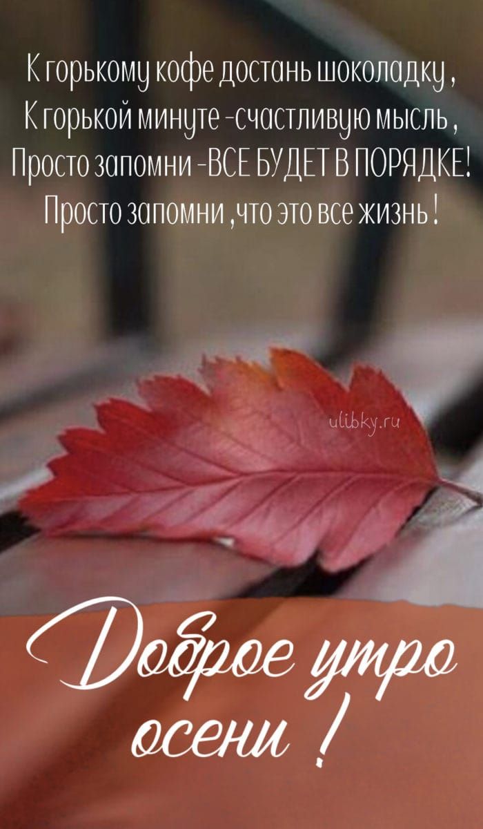 К горькому кофе достать шоколадку,
К горькой минуте-счастливую мысль,
Просто запомни - ВСЕ БУДЕТ В ПОРЯДКЕ!
Просто запомни, что это все жизнь!
Доброе утро осени !