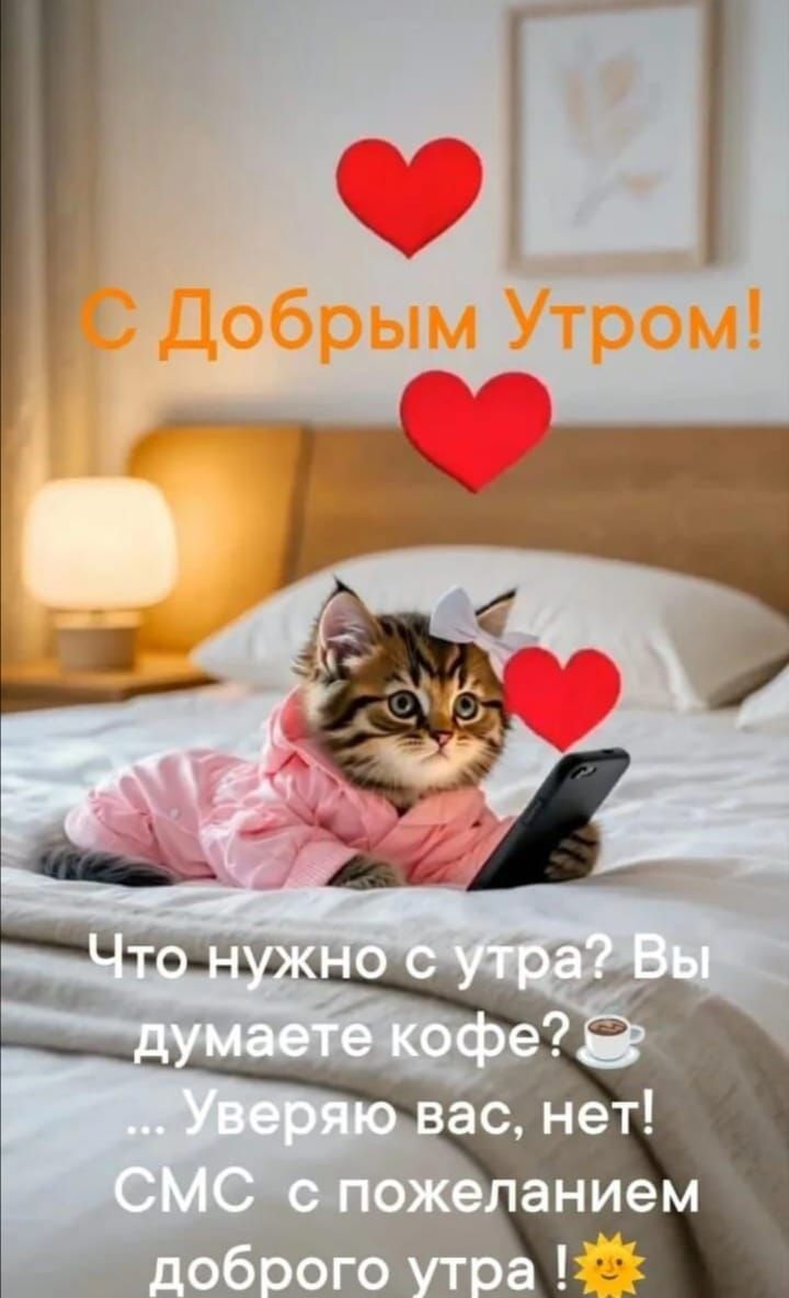 С Добрым Утром! Что нужно с утра? Вы