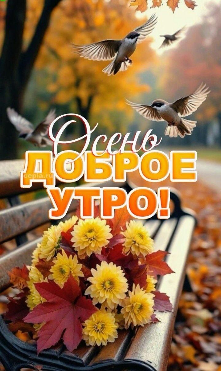 Осень Доброго утра!