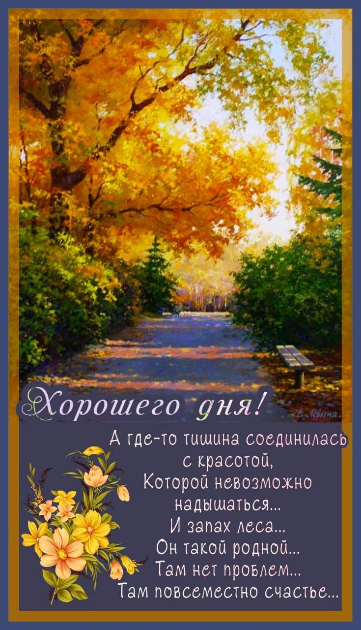Хорошего дня! А где-то тишина соединилась с красотой, Которой невозможно надышаться... И запах леса... Он такой родной... Там нет проблем... Там повсеместно счастье...