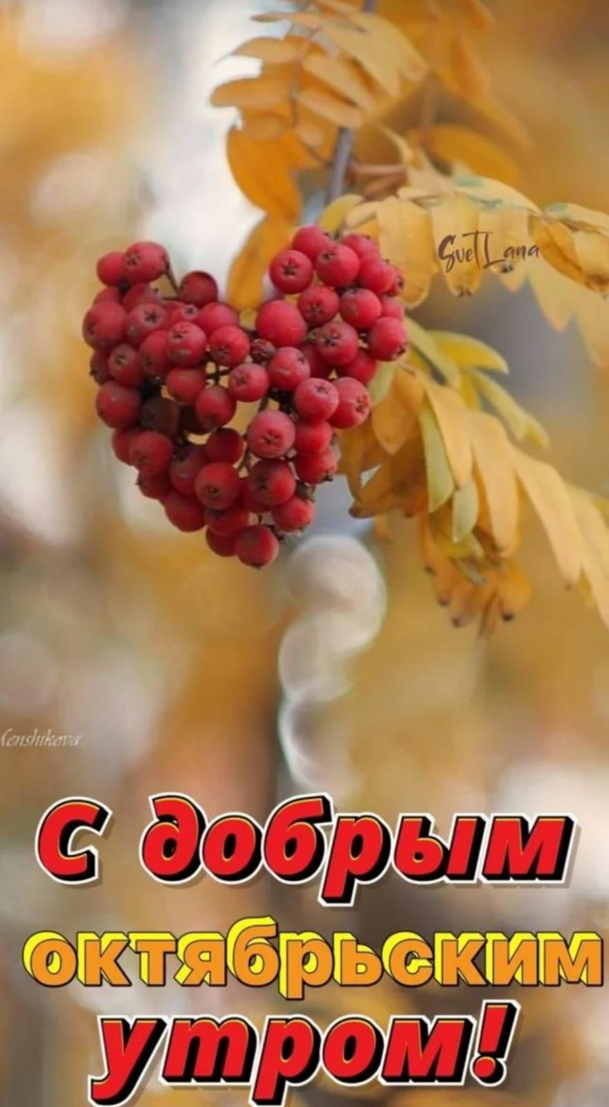 С добрым октябрьским утром!
