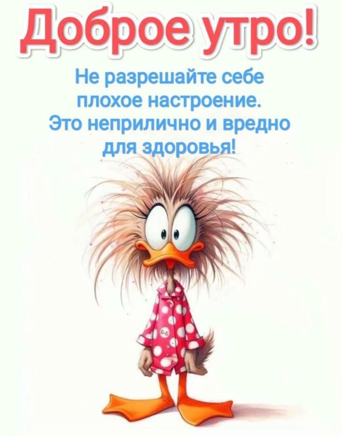 Доброе утро! Не позволяйте себе плохое настроение. Это неприлично и вредно для здоровья!