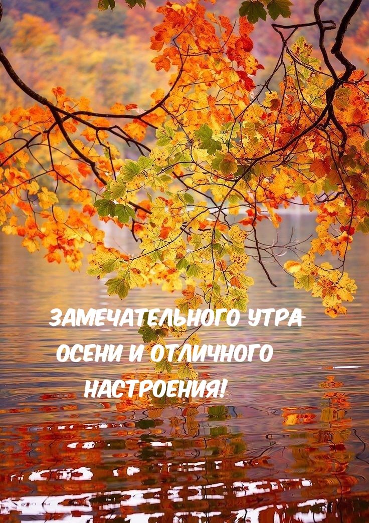 ЗАМЕЧАТЕЛЬНОГО УТРА ОСЕНИ И ОТЛИЧНОГО НАСТРОЕНИЯ!