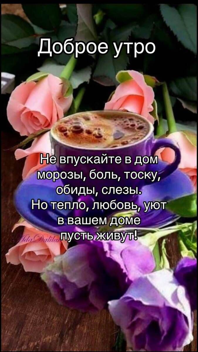Доброе утро

Не впускайте в дом морозы, боль, тоску, обиды, слезы.
Но тепло, любовь, уют в вашем доме пусть живут!