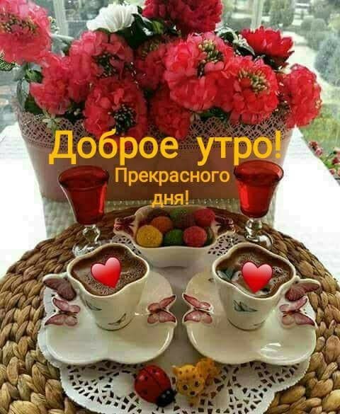 Доброе утро! Прекрасного дня!