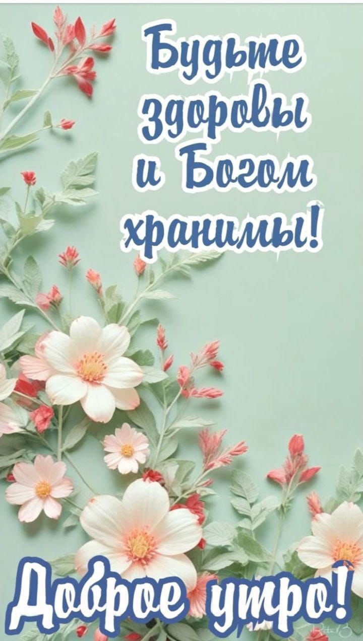 Будьте здоровы и Богом хранимы!
Доброе утро!