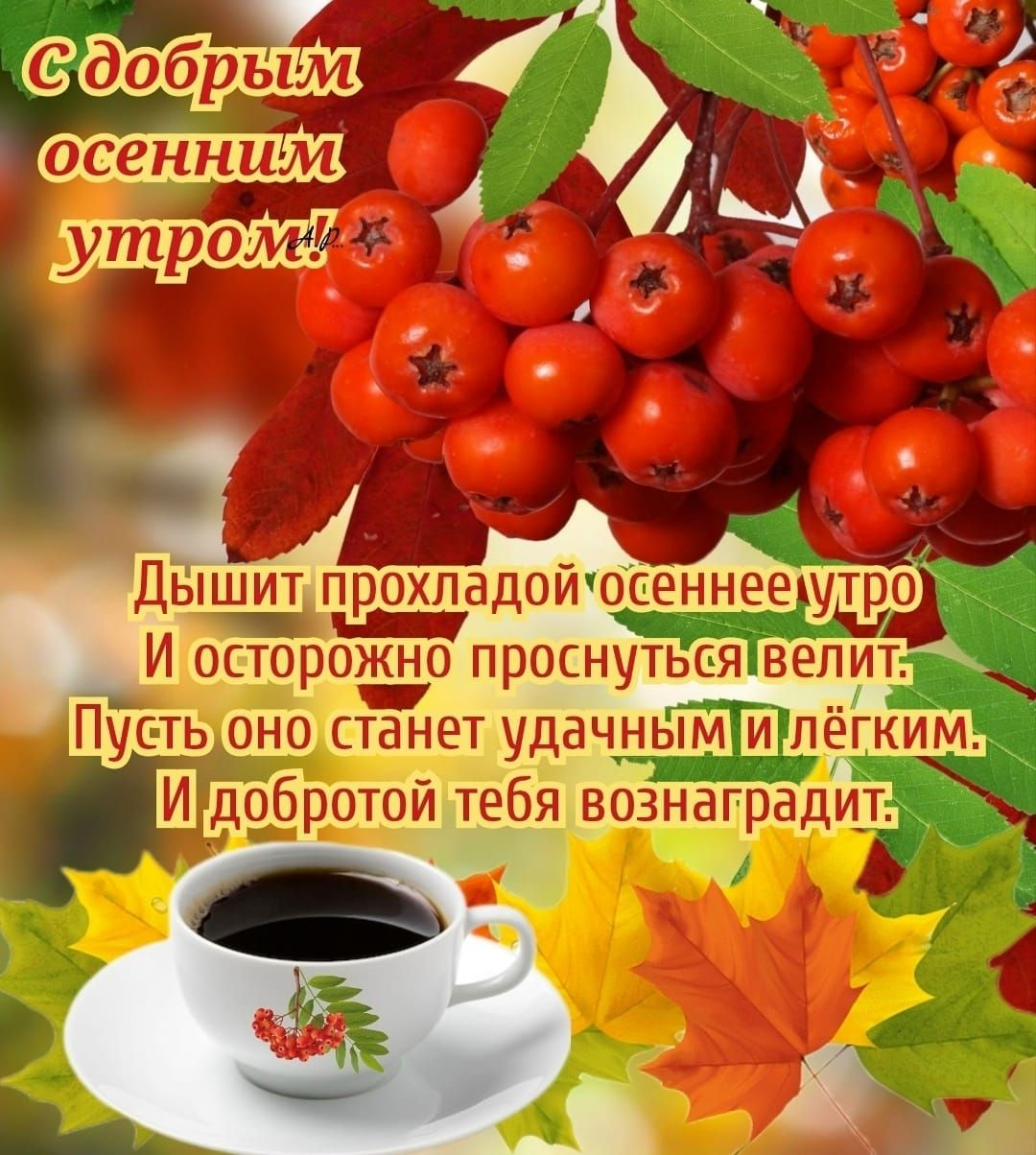 С добрым осенним утром! Дышит прохладой осеннее утро И осторожно проснуться велит. Пусть оно станет удачным и лёгким. И добротой тебя вознаградит.