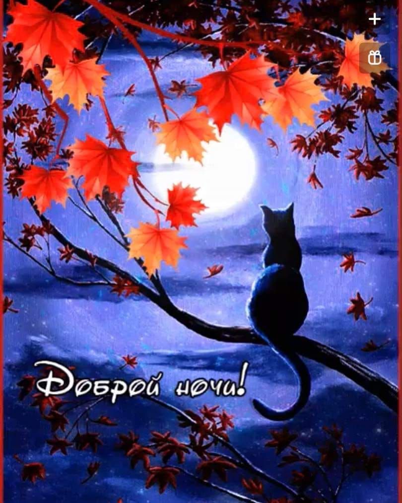 Доброй ночи!