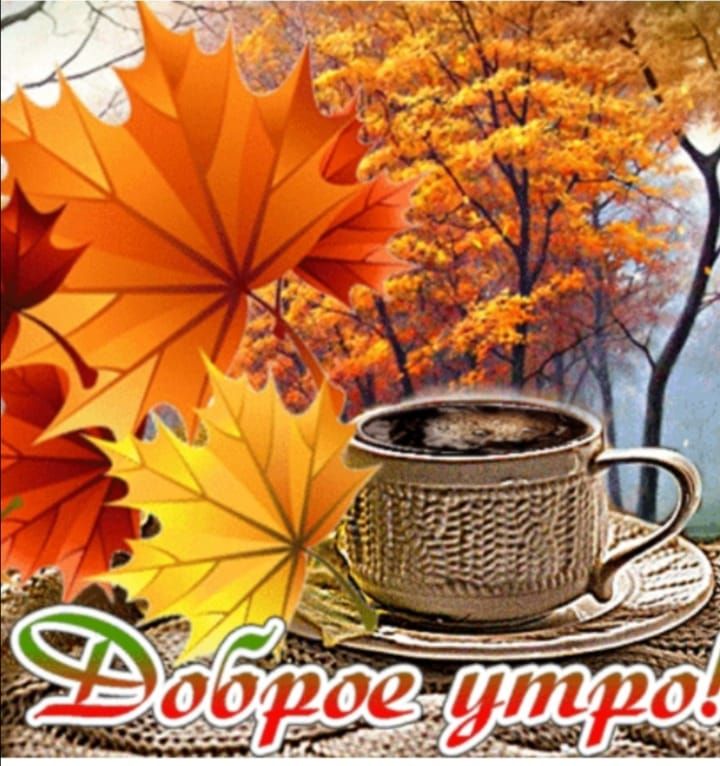 Доброе утро!