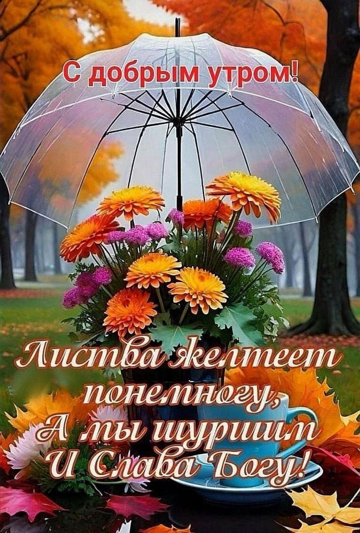 С добрым утром! Листва желтеет понемногу, А ты шуршишь И Слава Богу!