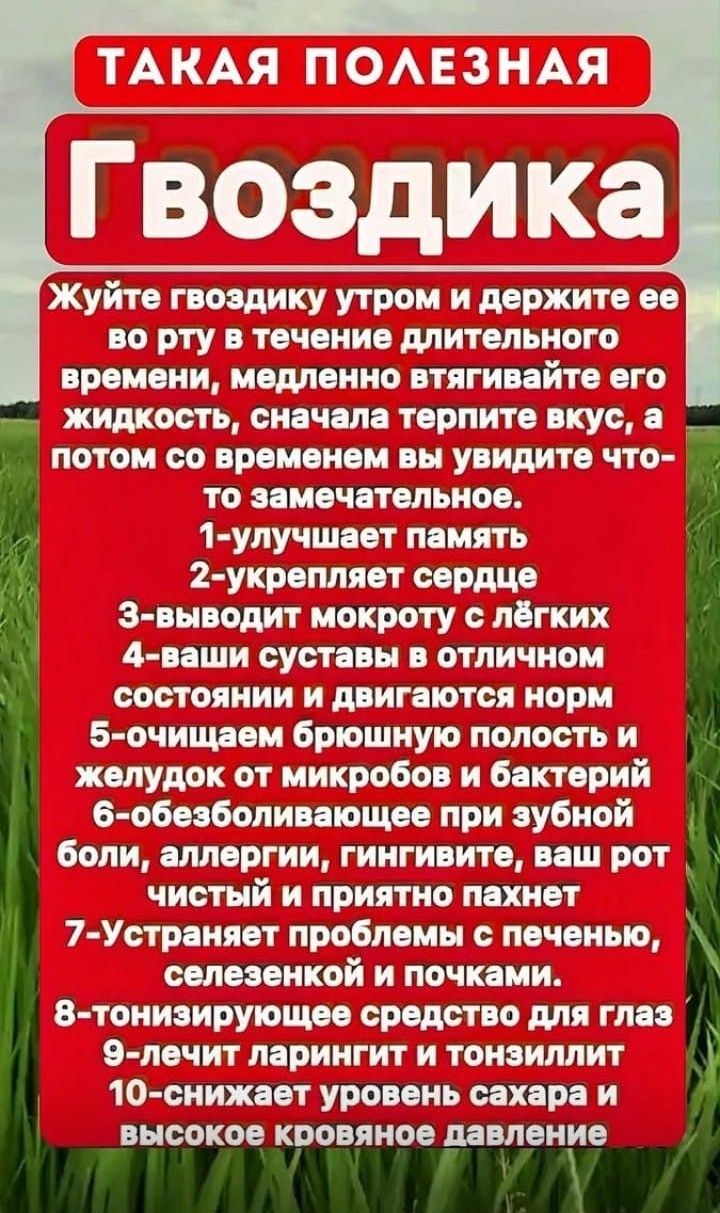 ТАКАЯ ПОЛЕЗНАЯ
Гвоздика
Жуйте гвоздику утром и держите ее во рту в течение длительного времени, медленно втягивайте его жидкость, сначала терпи...