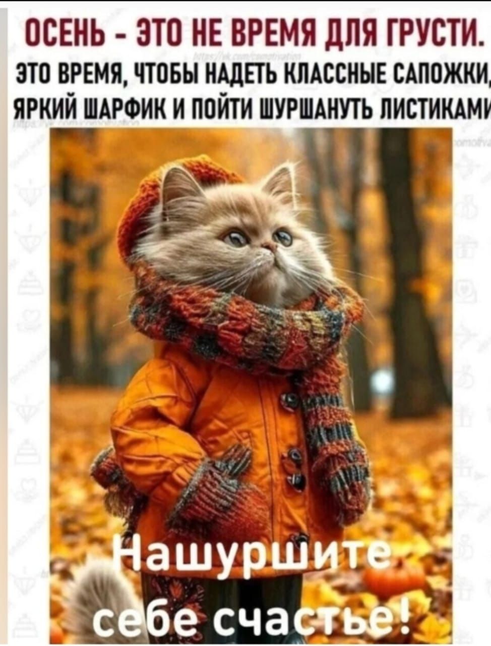 ОСЕНЬ - ЭТО НЕ ВРЕМЯ ДЛЯ ГРУСТИ.
ЭТО ВРЕМЯ, ЧТОБЫ НАДЕТЬ КЛАССНЫЕ САПОЖКИ, ЯРКИЙ ШАРФИК И ПОЙТИ ШУРШАНУТЬ ЛИСТИКАМИ.
Нашуршите себе счастье!