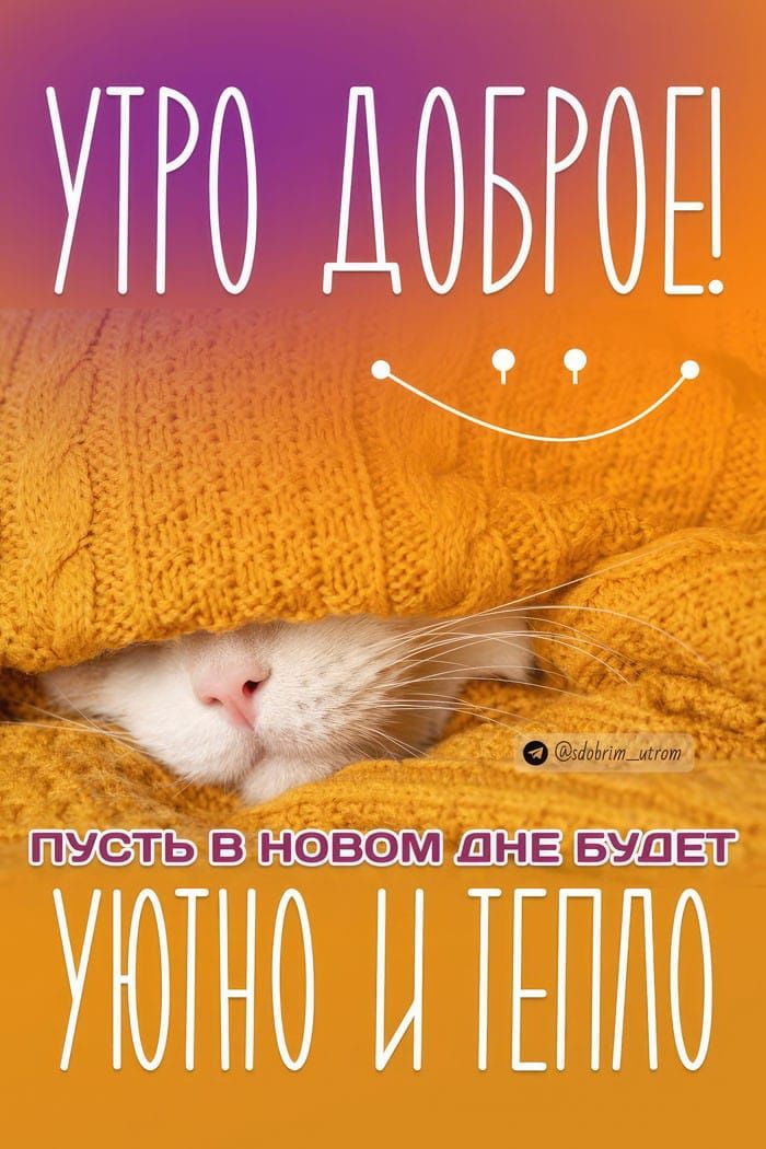 УТРО ДОБРОЕ! ПУСТЬ В НОВОМ ДНЕ БУДЕТ УЮТНО И ТЕПЛО.