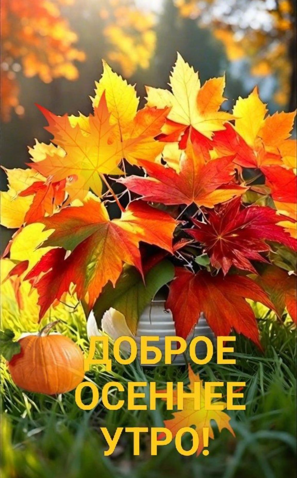 ДОБРОЕ ОСЕННЕЕ УТРО!