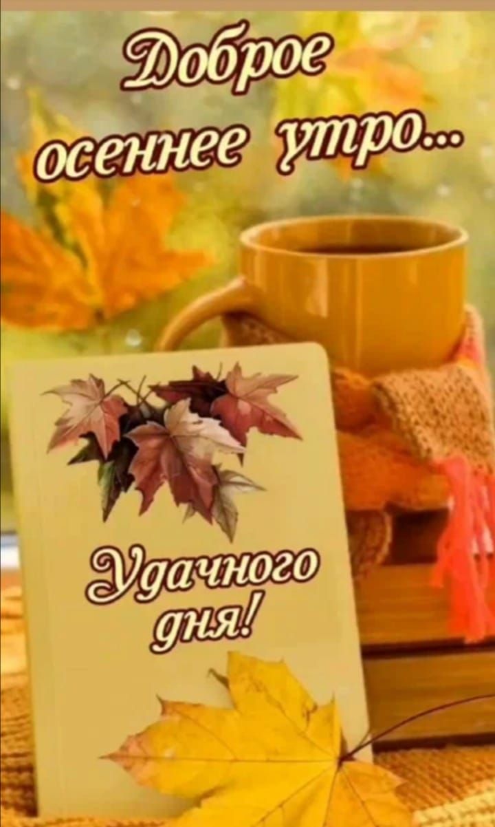Доброе осеннее утро... Удачного дня!