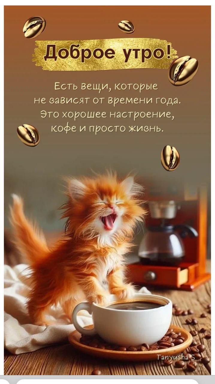 Доброе утро!
Есть вещи, которые не зависят от времени года. Это хорошее настроение, кофе и просто жизнь.