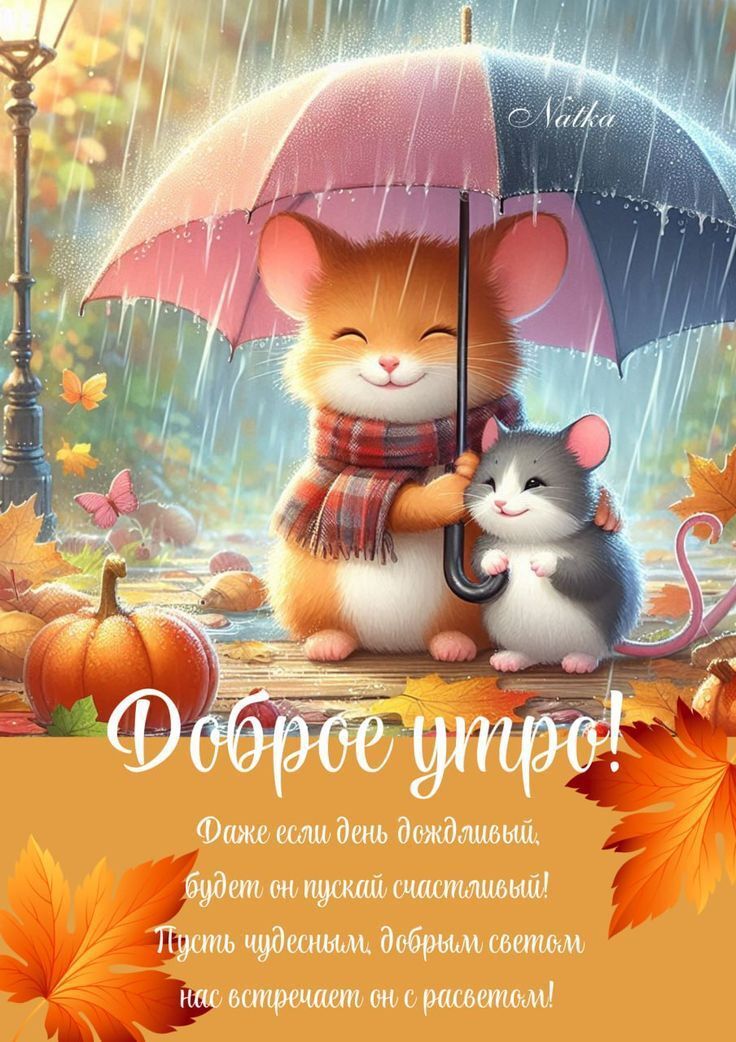 Доброе утро!
Даже если день дождливый, будет он пускай счастливый! Пусть чудесным, добрым светом нас встречает он с рассветом!