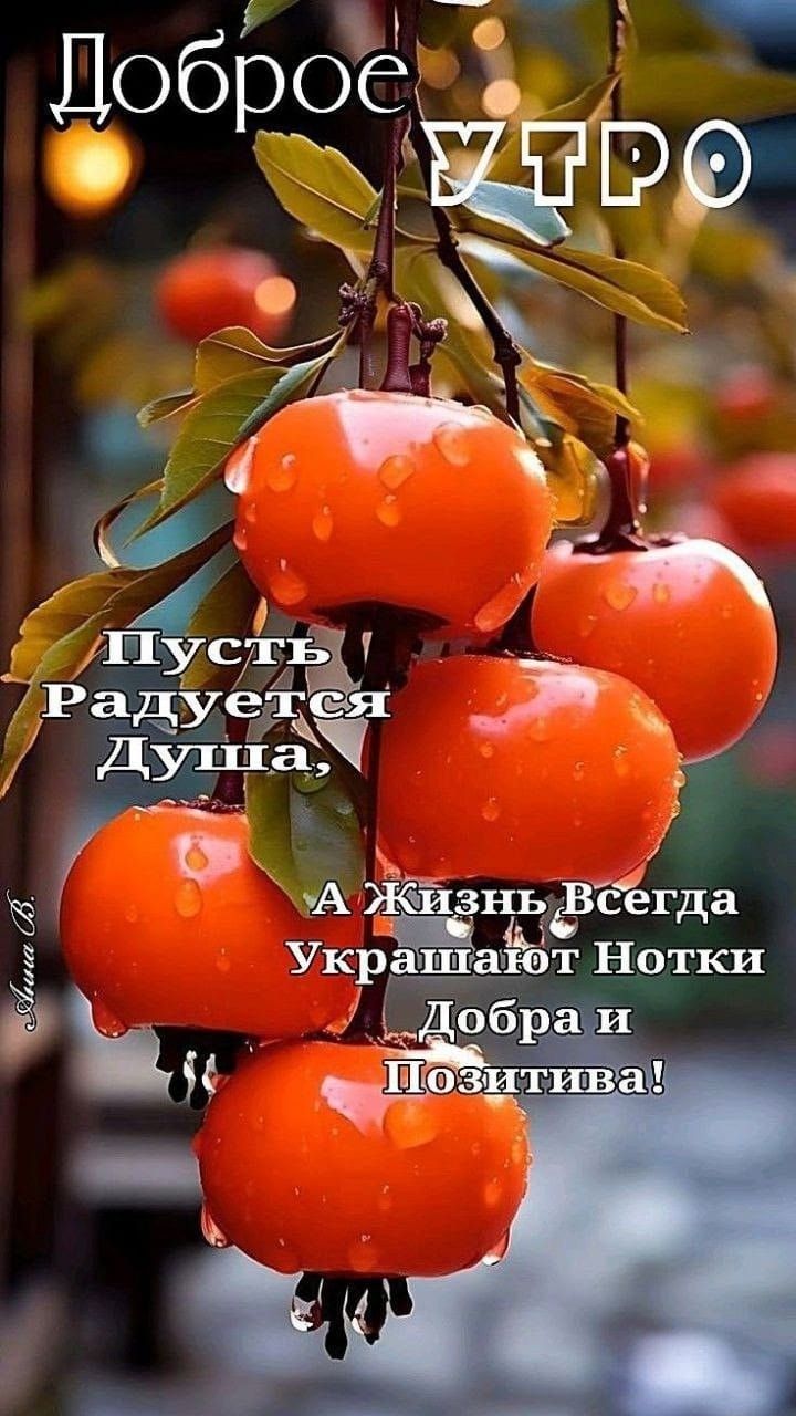 Доброе УТРО
Пусть Радуется Душа,
А Жизнь Всегда Украшают Нотки Добрa и Позитива!