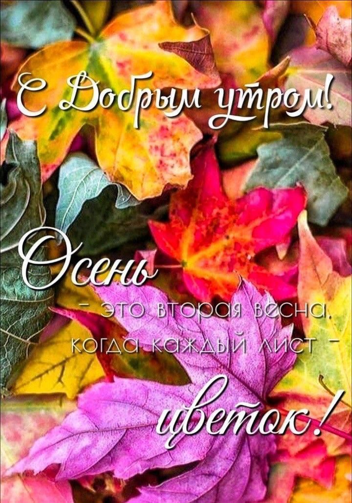 С Добрым утром! Осень - это вторая весна, когда каждый лист - цветок!