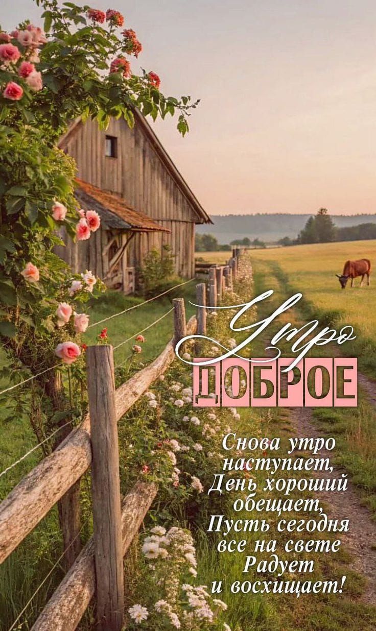Утро Доброе
Снова утро наступает, День хороший обещает, Пусть сегодня все на свете Радует и восхищает!
