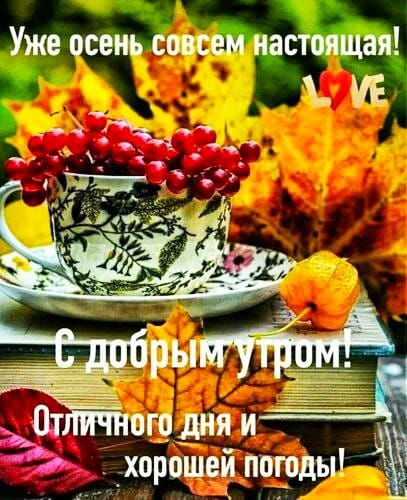 Уже осень совсем настоящая!
С добрым утром!
Отличного дня и хорошей погоды!