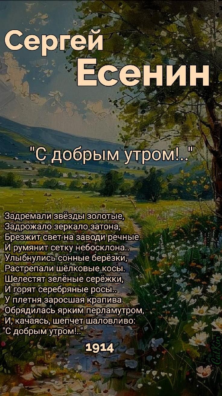 Задремали звёзды золотые,
Задрожалo зеркало зaтона,
Брежет свет на заводи речные
И румянит сетку небосклона...

Улыбнулись сонные берёзки,
Растрепали шёлковые косы.
Шелестят зелёные серёжи,
И горят серебряные росы...

У летнего заросшая крапива
Обрядился арким перламутром,
И, качаясь, шепчет шаловливо:

