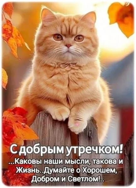 С добрым утречком! ...Каковы наши мысли, такова и Жизнь.. Думайте о Хорошем, Добром и Светлом!!