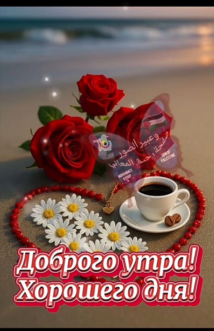Доброе утро! Хорошего дня!