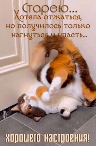 Старею... Хотела отжаться, но получился только нагнуться и упасть... хорошего настроения!