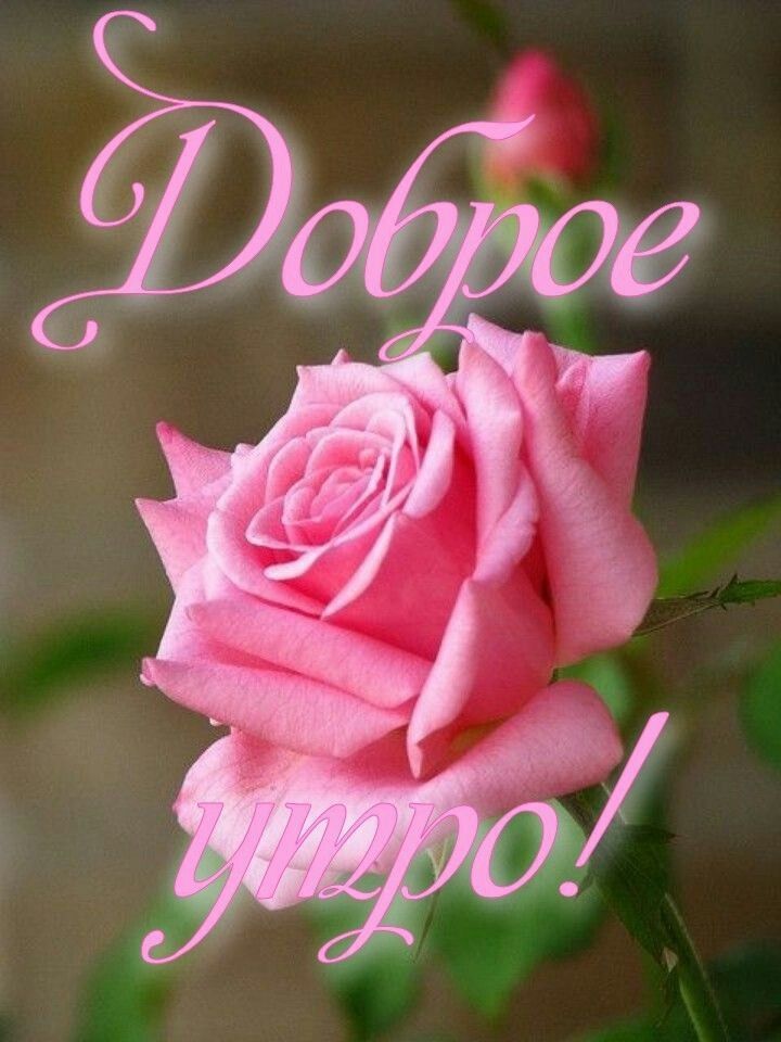 Доброе утро!