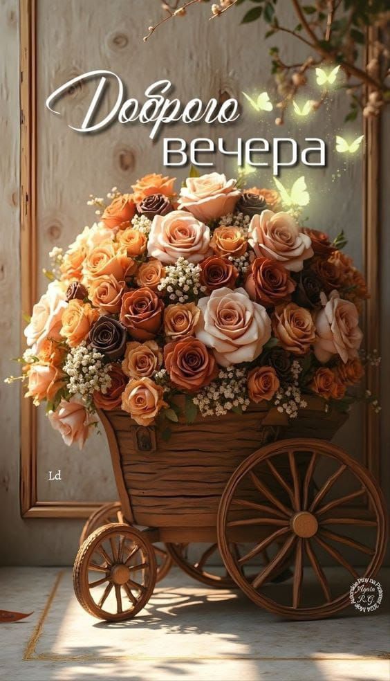Доброе вечера