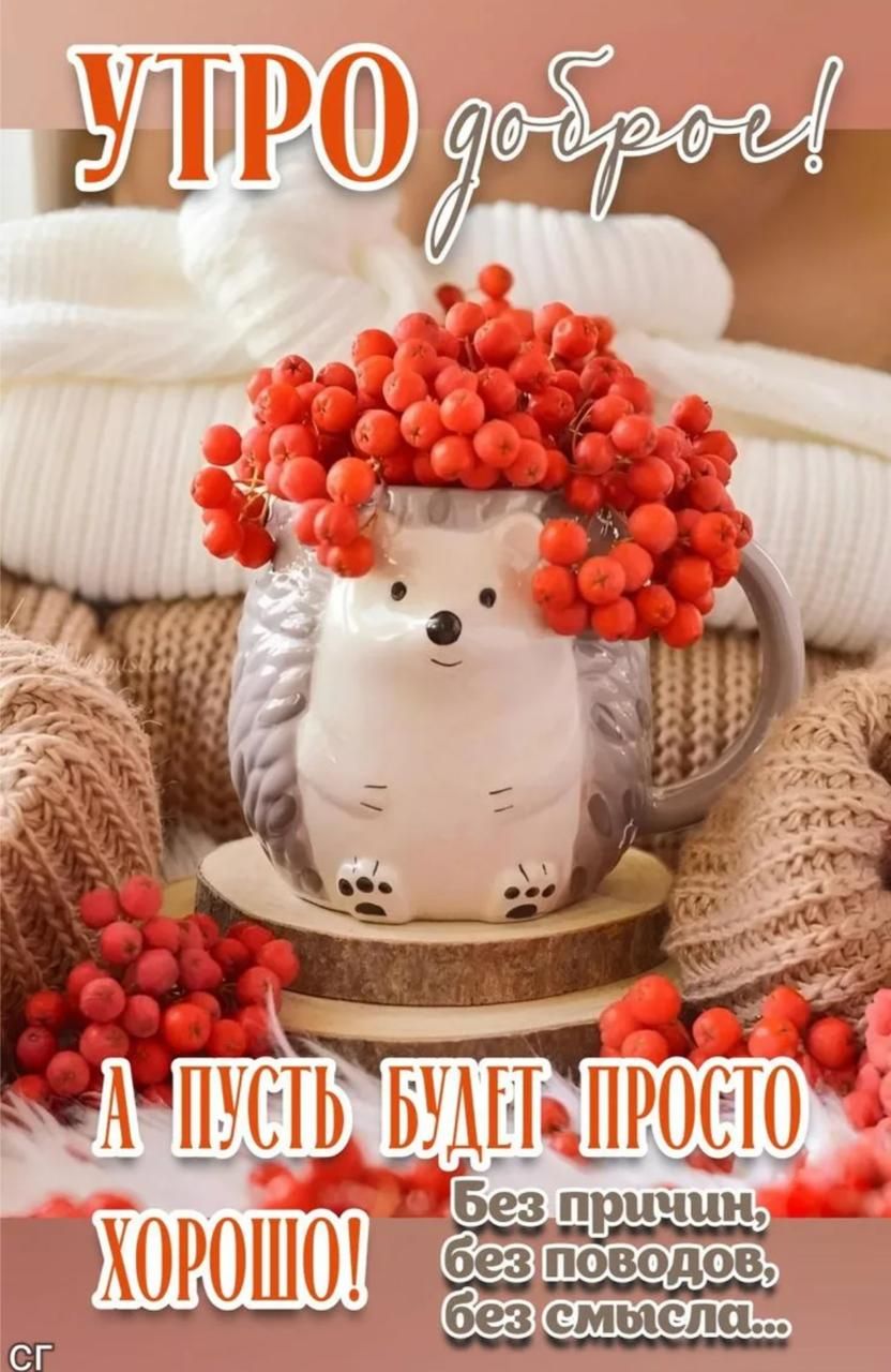 УТРО доброе! А пусть будет просто ХОРОШО! Без причин, без поводов, без смысла...