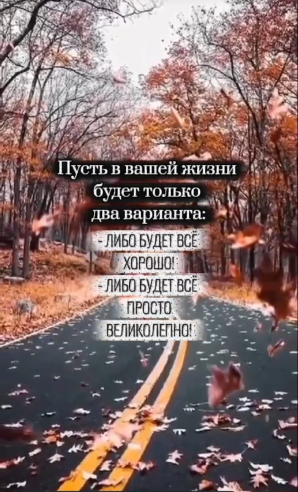 Пусть в вашей жизни будет только два варианта:
- Либо будет всё хорошо!
- Либо будет всё просто великолепно!