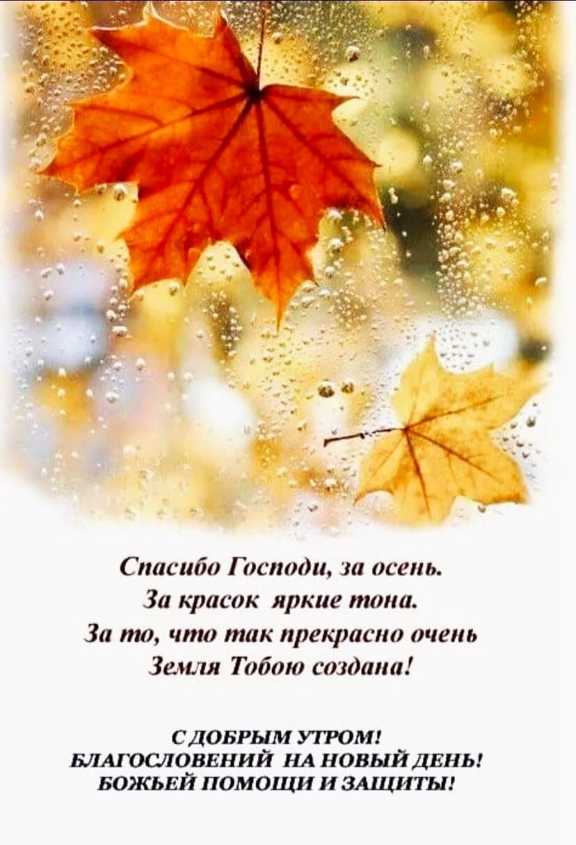 Спасибо Господи, за осень.\nЗа краски яркие тона.\nЗа то, что так прекрасно очень\nЗемля Тобою создана!\n\nС добрым утром!\nБлагословений на новый день!\nБожьей помощи и защиты!