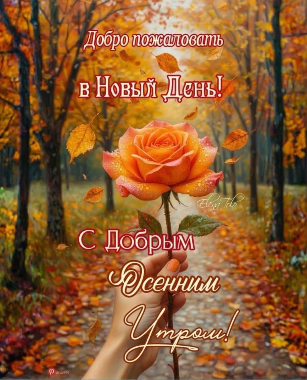 Добро пожаловать в Новый День! С Добрым Утром!