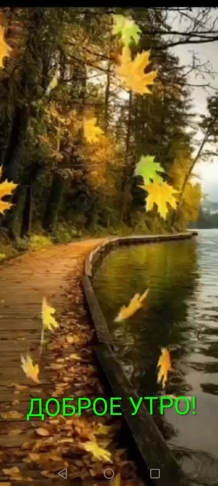 ДОБРОЕ УТРО!