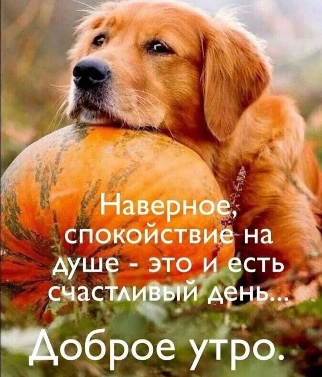 Наверное, спокойствие на душе - это и есть счастливый день... Доброе утро.
