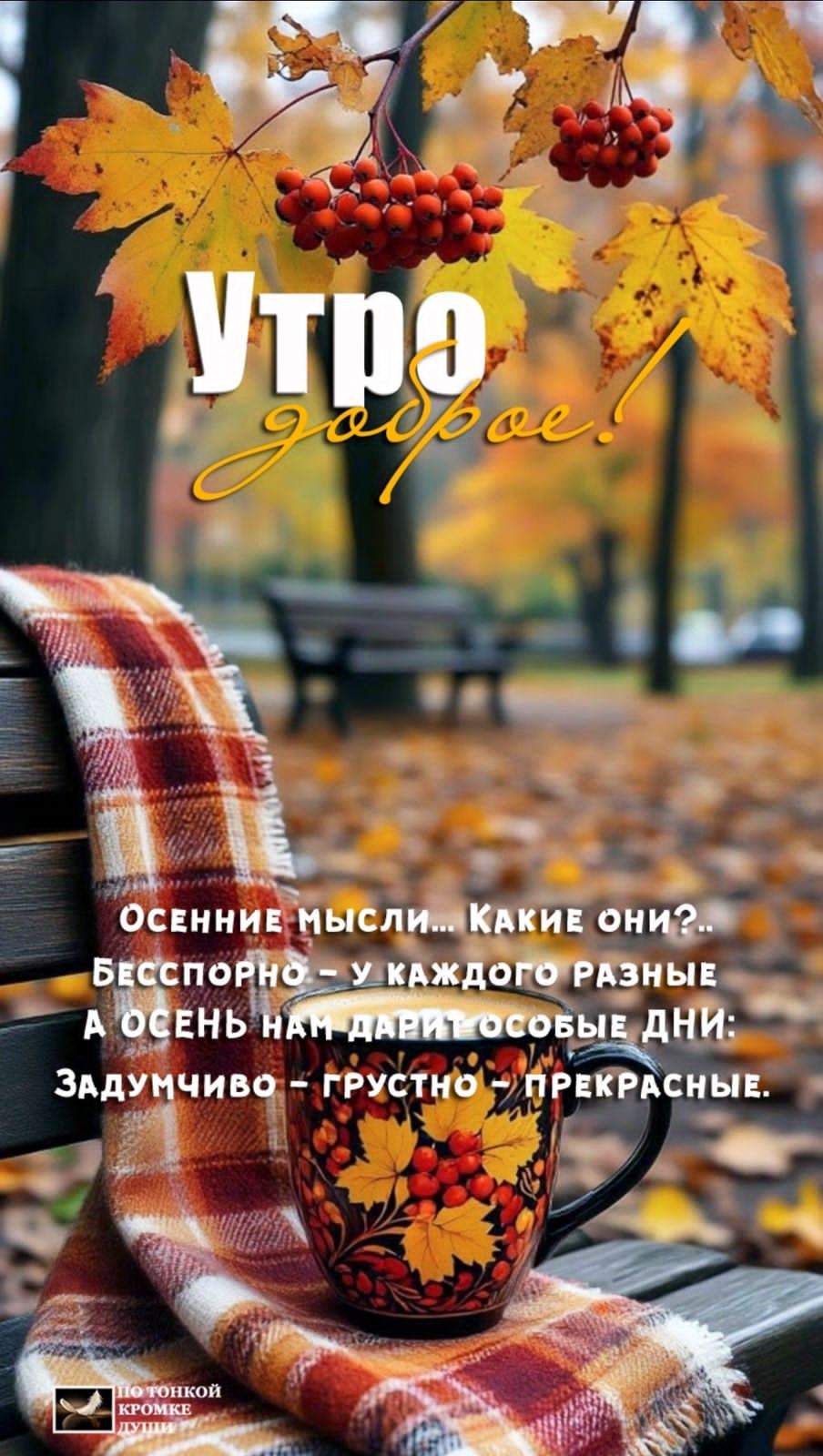 Утро доброе! Осенние мысли... Какие они?.. Беспорядно - у каждого разные. А осень нам дарит особые дни: Задумчиво - грустно - прекрасные.