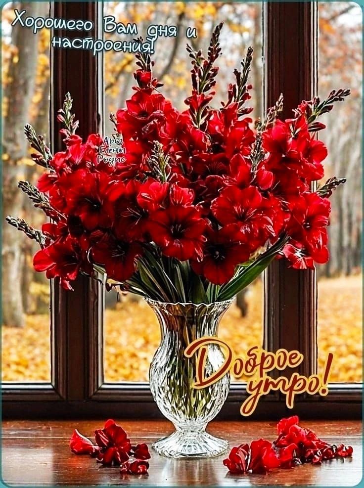 Хорошего Вам дня и настроения! Доброе утро!