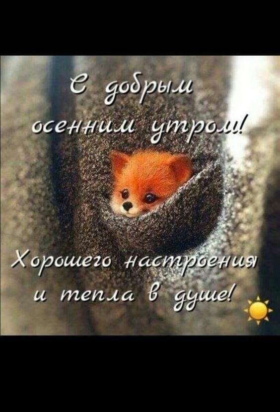 С добрыми осенними утром! Хорошего настроения и тепла в душе!