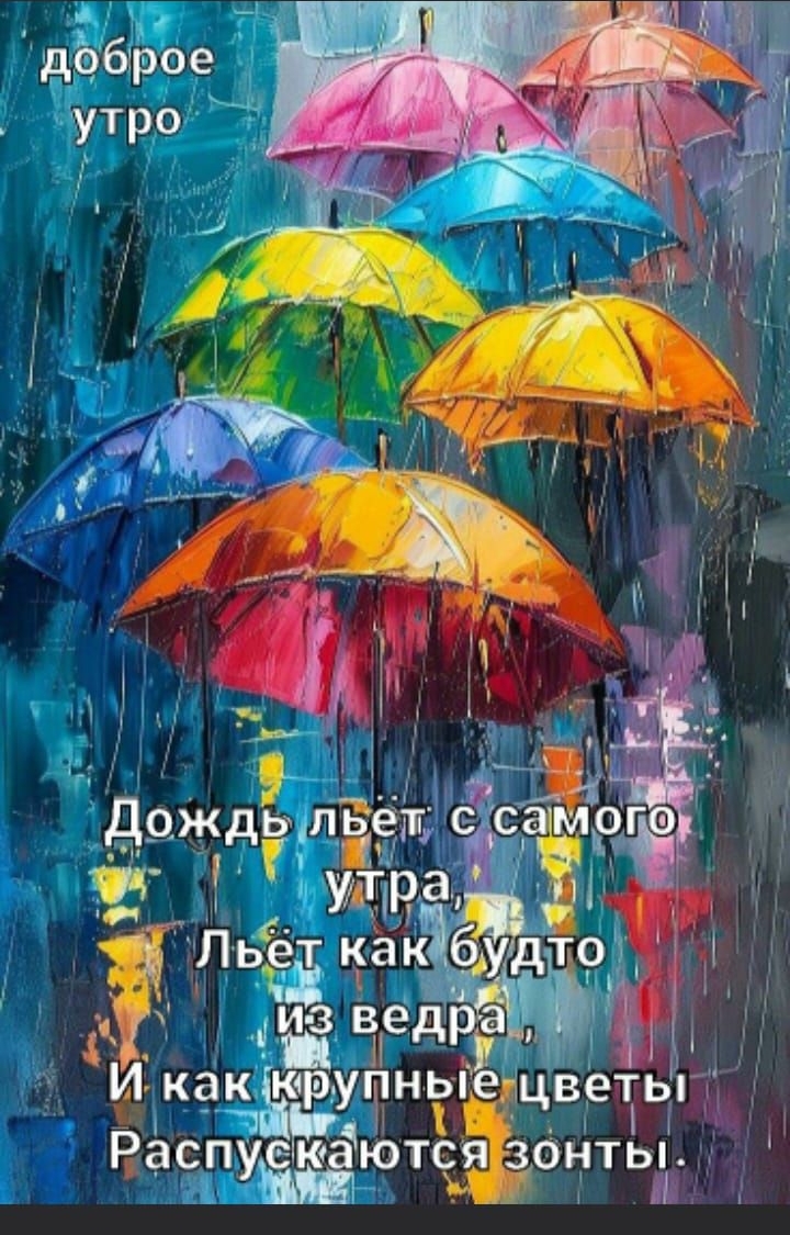 доброе утро
Дождь льёт с самого утра.
Льёт как будто из ведра,
И как крупные цветы
распускаются зонты.