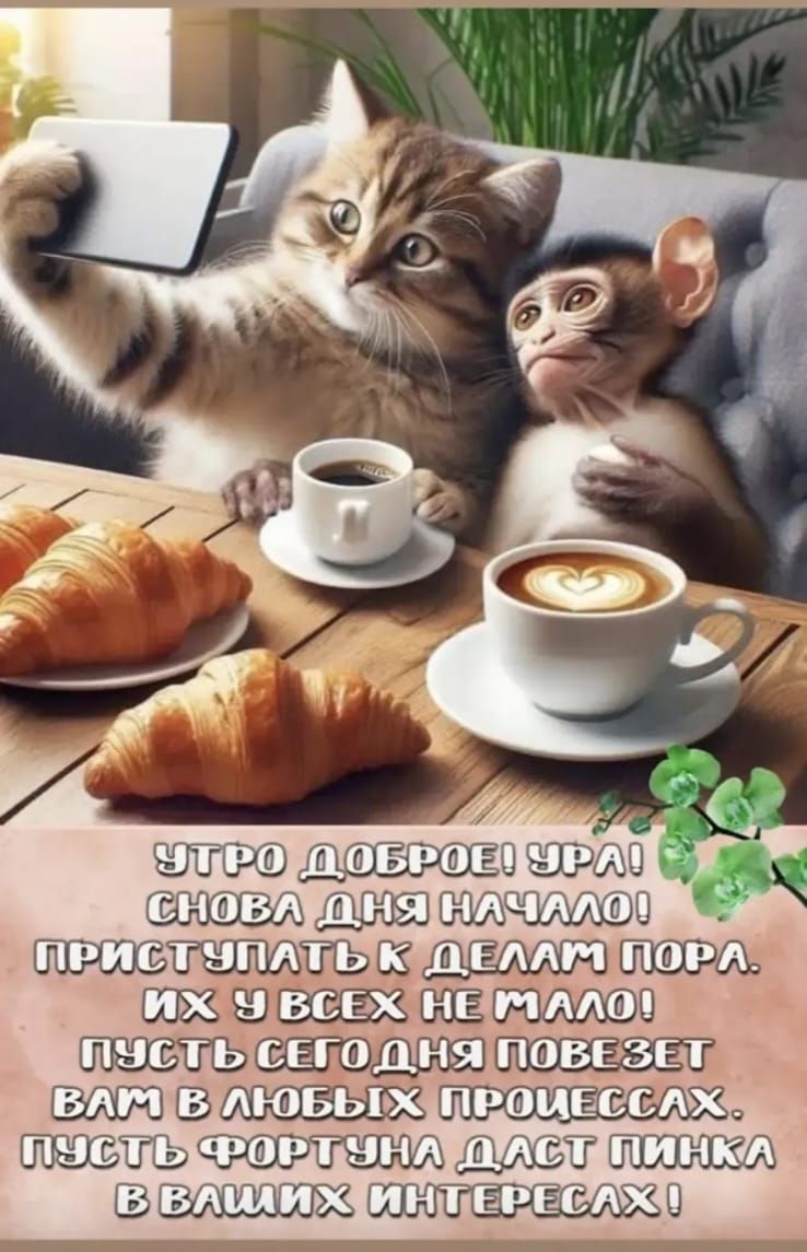 УТРО ДОБРОЕ! УРА! СНОВА ДНЯ НАЧАЛО! ПРИСТУПАТЬ К ДЕЛАМ ПОРА. ИХ У ВСЕХ НЕ МАЛО! ПУСТЬ СЕГОДНЯ ПОВЕЗЕТ ВАМ В ЛЮБЫХ ПРОЦЕССАХ! ПУСТЬ ФОРТУНА ДАСТ ПИНКА В ВАШИХ ИНТЕРЕСАХ!